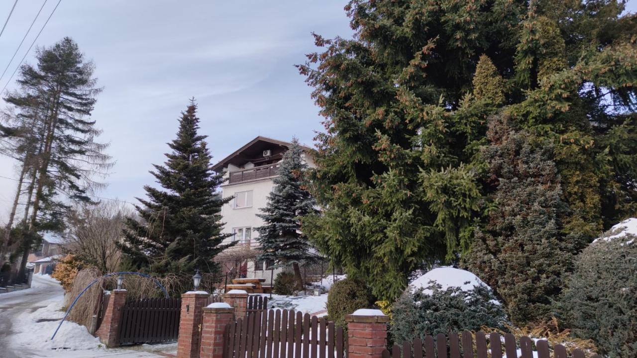 Alfa 2 Apartament 3 Bystra  Экстерьер фото